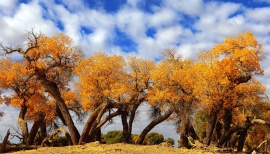 Xinjiang Weather in September