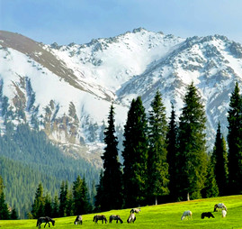 Nanshan Mountain.jpg