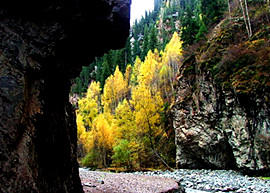 Hariturege Scenic Spot