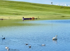 The Bayanbulak Swan Reserve