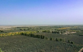 The Kekeya Plantation