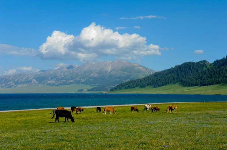 Sayram Lake in Xinjiang