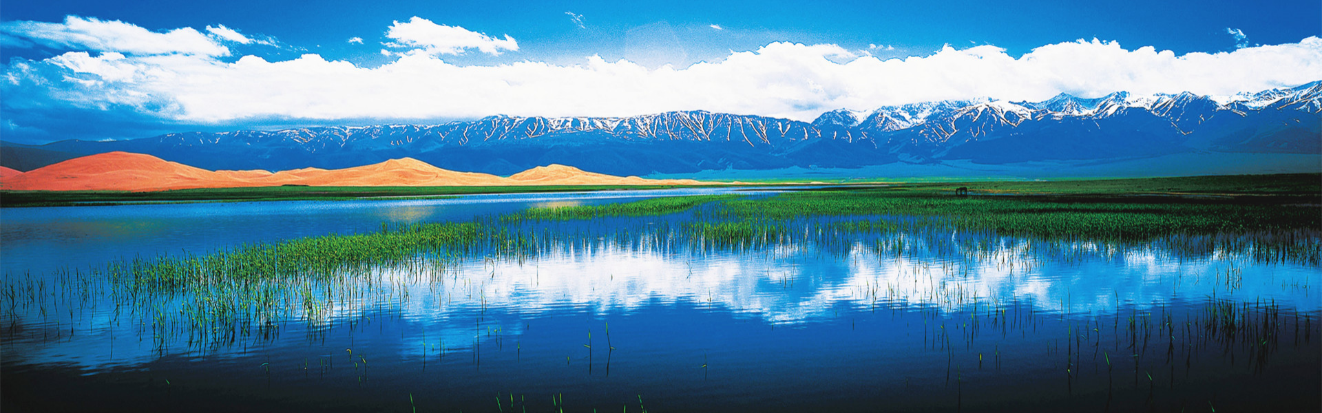 North Xinjiang Tours